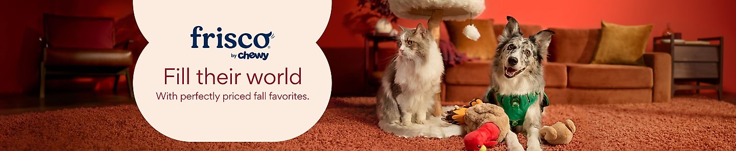 frisco by chewy Fill their world With perfectly priced fall favorites.