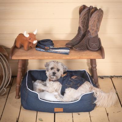 Show full view: Wrangler Denim Light Wash Vest Dog Harness, Light Blue, Medium: 16.5 to 27-in chest slide 7 of 8