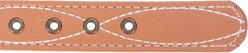 Wrangler Faux Leather with Stitching Dog Collar, Light Brown, Large: 18 to 24-in neck, 1-in wide slide 2 of 9