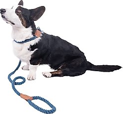 Wrangler Rope Slip Dog Leash, Blue, 6-ft long, 3/8-in wide