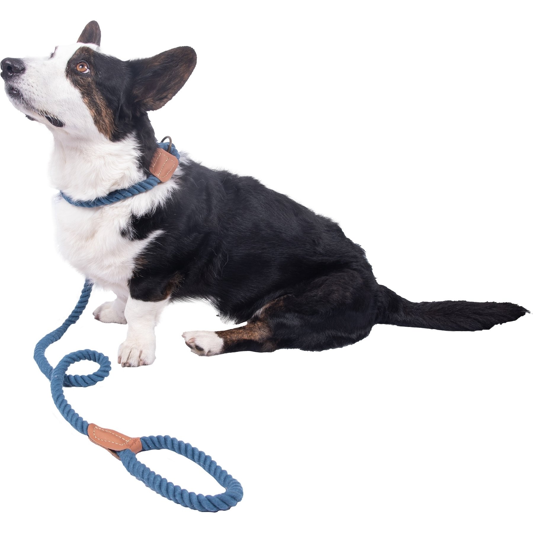 Wrangler Rope Slip Dog Leash, Blue, 6-ft long, 5/8-in wide