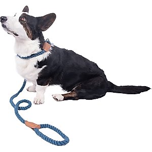 Wrangler Rope Slip Dog Leash, Blue, 4-ft long, 1/2-in wide