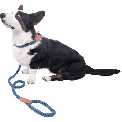 Wrangler Wrangler Rope Slip Dog Leash, Blue, 6-ft long, 5/8-in wide