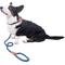 Show in main carousel: Wrangler Rope Slip Dog Leash, Blue, 4-ft long, 1/2-in wide slide 1 of 9