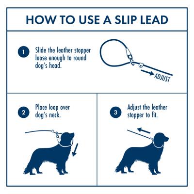 Show full view: Wrangler Rope Slip Dog Leash, Blue, 4-ft long, 1/2-in wide slide 8 of 9