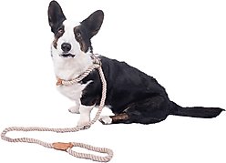 Wrangler Rope Slip Dog Leash, Ivory, 6-ft long, 5/8-in wide slide 2 of 8