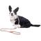 Show in main carousel: Wrangler Rope Slip Dog Leash, Ivory, 6-ft long, 5/8-in wide slide 3 of 9