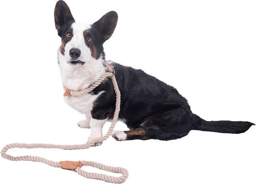 Show full view: Wrangler Rope Slip Dog Leash, Ivory, 6-ft long, 5/8-in wide slide 3 of 9