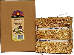Hall's Hay Wheat Straw Mini-Bale Small Pet Bedding, 4-lb box