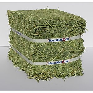 Hall's Hay Alfalfa Mini-Bale Small Pet Food, 6-lb box