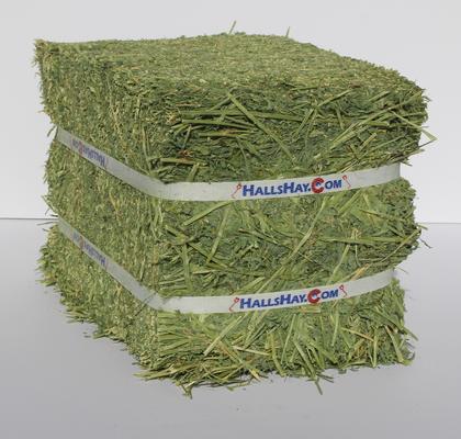 Show full view: Hall's Hay Alfalfa Mini-Bale Small Pet Food, 6-lb box slide 3 of 9