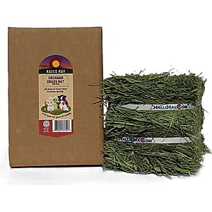 Hall's Hay Orchard Grass Hay Mini-Bale Small Pet Food, 5-lb box