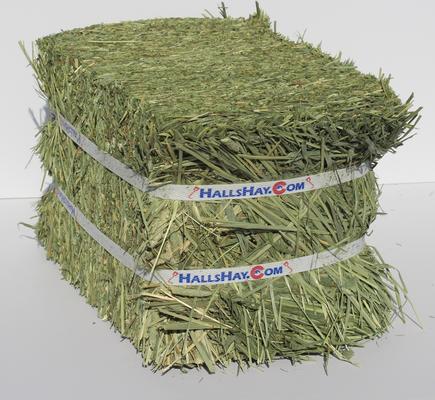 Show full view: Hall's Hay Timothy Hay 2nd Cut Mini-Bale Small Pet Food, 5-lb box slide 3 of 9