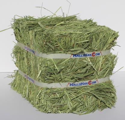 Show full view: Hall's Hay Timothy Hay 1st Cut Mini-Bale Small Pet Food, 5-lb box slide 3 of 9