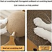 Show in main carousel: NonoPets Indoor Multi-Functional 18.5-in Polyester Cat Scratcher & Condo, Wood slide 5 of 5