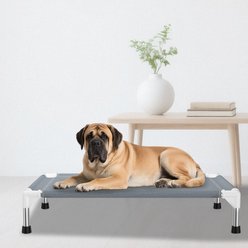 Caghash Raised Elevated Stainless Steel Frame Outdoor & Indoor Dog Bed, Grey, Medium: 34 x 26 x 5-in slide 2 of 7