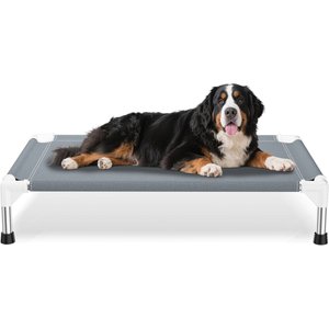 Caghash Raised Elevated Stainless Steel Frame Outdoor & Indoor Dog Bed, Blue/White/Grey, Medium: 34 x 26 x 5-in