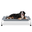 Caghash Raised Elevated Stainless Steel Frame Outdoor & Indoor Dog Bed, Blue/White/Grey, Medium: 34 x 26 x 5-in