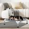 Show in main carousel: Caghash Raised Elevated Stainless Steel Frame Outdoor & Indoor Dog Bed, Blue/White/Grey, Small: 20 x 20 x 5-in slide 7 of 9
