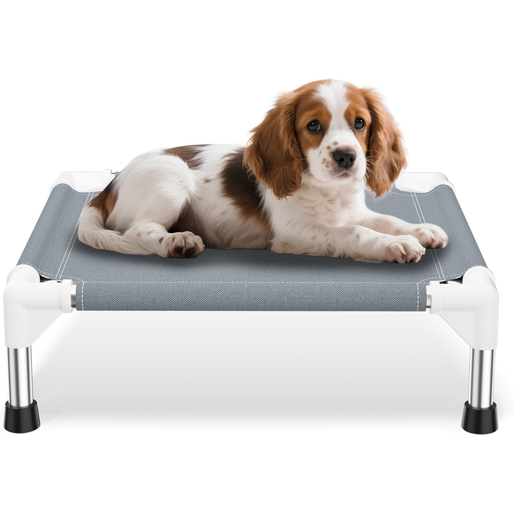 Caghash Raised Elevated Stainless Steel Frame Outdoor & Indoor Dog Bed, Grey, Small: 20 x 20 x 5-in