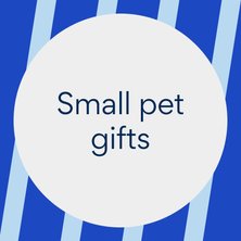 Small pet gifts