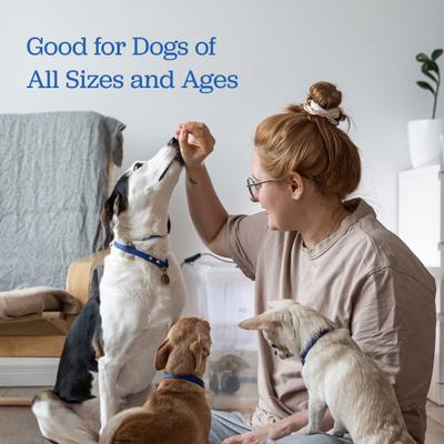 Show full view: Downtown Barkery Chicken & Bone Broth High-Protein Jerky Dog Treats, 1-lb bag slide 5 of 7