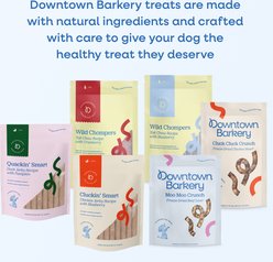 Downtown Barkery Chicken & Bone Broth High-Protein Jerky Dog Treats, 4-oz bag slide 2 of 6