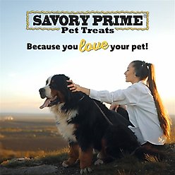 Savory Prime Cod Skin Crunchy Bites Dog Treats, 16-oz bag slide 2 of 8