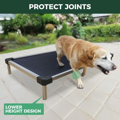 Show full view: FXW TitanNest Cooling Chew-Proof Elevated Dog Bed, Grey, Large: 50-inch slide 5 of 11