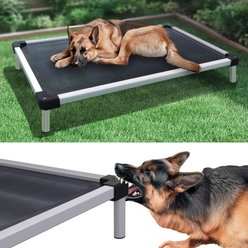 FXW TitanNest Cooling Chew-Proof Elevated Dog Bed, Grey, Large: 50-inch