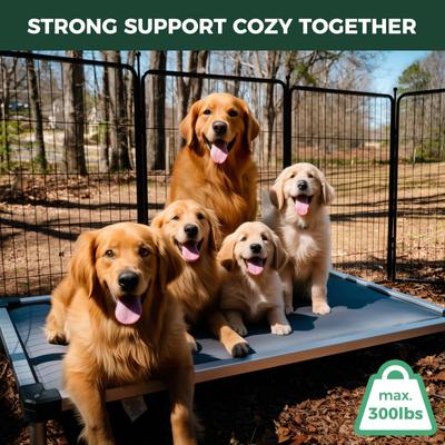 Show full view: FXW TitanNest Padded Chew-Proof Elevated Dog Bed, Grey, X-Large: 56-in slide 6 of 11