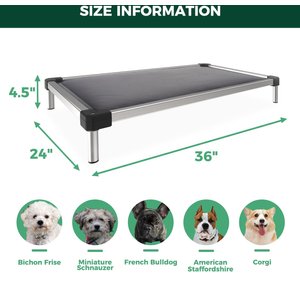 FXW TitanNest Padded Chew-Proof Elevated Dog Bed, Grey, Small: 36-in