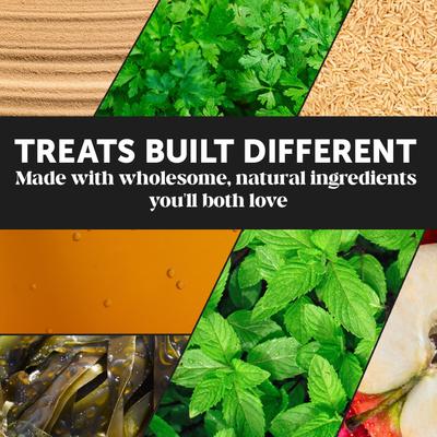 Show full view: Pet Honesty Dental Health Fresh Sticks Mint Plaque Off Dental & Teeth Cleaning Dog Dental Chews, 16 count slide 8 of 12