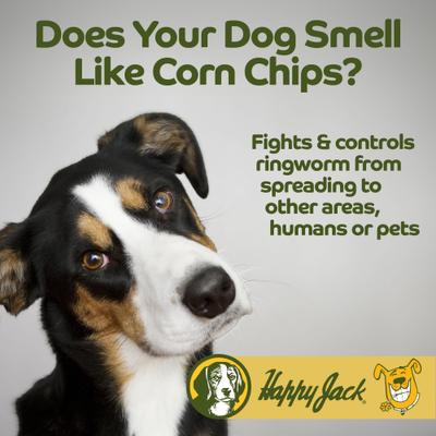 Show full view: Happy Jack Xylecide Itch Relief Dog Shampoo, 12-fl oz bottle slide 4 of 11