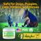 Show in main carousel: Happy Jack KetoHexidine Dog, Cat & Horse Wipes with Chlorhexidine & Ketoconazole, 50 count slide 8 of 11