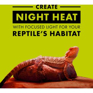 Zilla Night Red Incandescent Reptile Basking Bulb, 100-watt