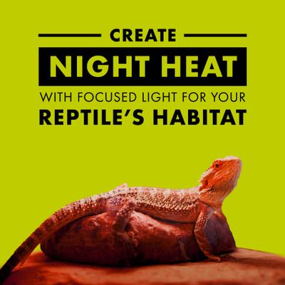 Show full view: Zilla Night Red Incandescent Reptile Basking Bulb, 100-watt slide 3 of 10