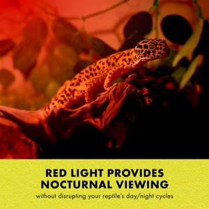 Zilla Night Red Incandescent Reptile Basking Bulb, 100-watt