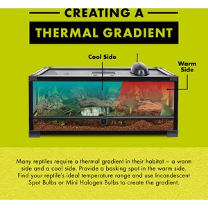 Zilla Night Red Incandescent Reptile Basking Bulb, 100-watt