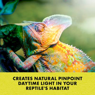 Show full view: Zilla Day White Reptile Basking Bulb, 100-watt slide 5 of 10