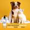 Show in main carousel: Silver Honey Skin & Coat Care Nourish & Soothe Dog & Cat Shampoo with Odor Neutralizer, 16-fl oz bottle slide 4 of 7