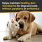 Show in main carousel: Silver Honey Skin & Coat Care Nourish & Soothe Dog & Cat Shampoo with Odor Neutralizer, 16-fl oz bottle slide 3 of 7