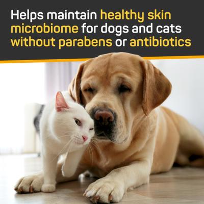 Show full view: Silver Honey Skin & Coat Care Nourish & Soothe Dog & Cat Shampoo with Odor Neutralizer, 16-fl oz bottle slide 3 of 7