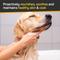Show in main carousel: Silver Honey Skin & Coat Care Nourish & Soothe Dog & Cat Shampoo with Odor Neutralizer, 16-fl oz bottle slide 2 of 7
