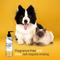 Show in main carousel: Silver Honey Skin & Coat Care Nourish & Soothe Leave-In Dog & Cat Conditioner, 16-fl oz bottle slide 5 of 8