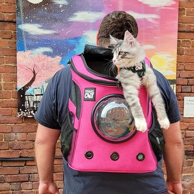 Show full view: Travel Cat Fat Cat Airline Approved Bubble Backpack Cat Carrier, Deep Rose Pink slide 3 of 11