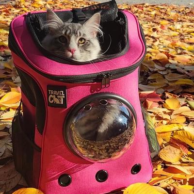 Show full view: Travel Cat Fat Cat Airline Approved Bubble Backpack Cat Carrier, Deep Rose Pink slide 2 of 11