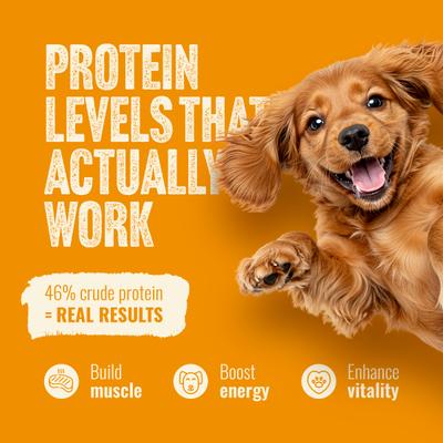 Show full view: Natural Farm Fresh Chicken Recipe with Collagen Dry Dog Food, 4-lb bag slide 7 of 11