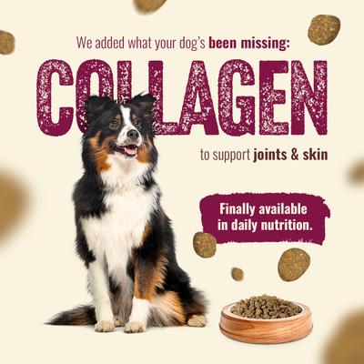 Show full view: Natural Farm Fresh Beef Recipe with Collagen Dry Dog Food, 22.5-lb bag slide 6 of 11