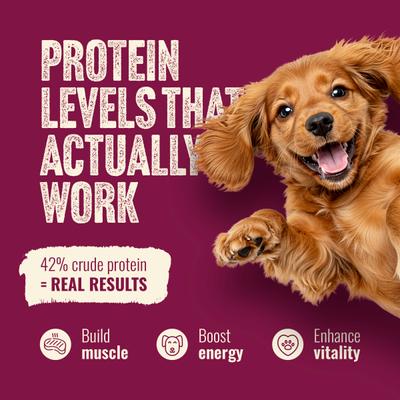 Show full view: Natural Farm Fresh Beef Recipe with Collagen Dry Dog Food, 22.5-lb bag slide 7 of 11